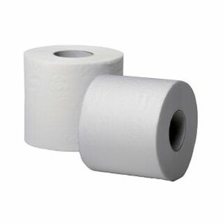 Toilettenpapier Fripa Basic, 2-lagig, 250 Blatt, Recycling, 48 Stck