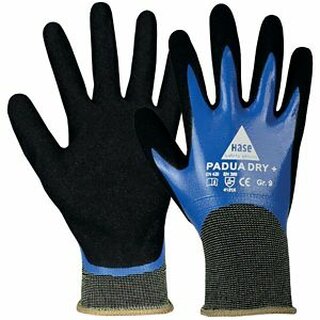 Padua Dry + Handschuh Hase, Gre 11, 10 Paar