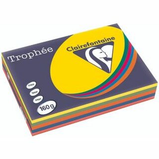 Clairefontaine Kopierpapier Trophee Intensive sortiert A4 160g 250 Blatt