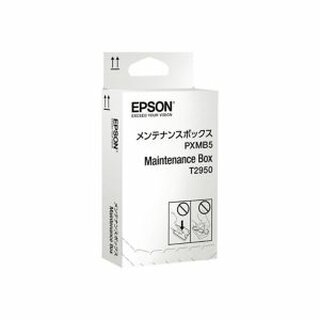 Epson C13T295000 Wartungskit