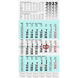 Brunnen 3-Monatskalender 1070210315, 30 x 55,5cm, blau (schwarz/rot), 2025