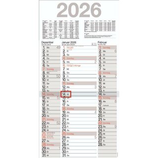 Bühner 3-Monatskalender TERMINUS M3TE, 3M/1S, 30 x 59cm,...