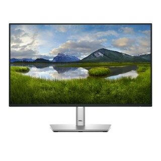 Dell P2425H Fhd Monitor 24 Zoll