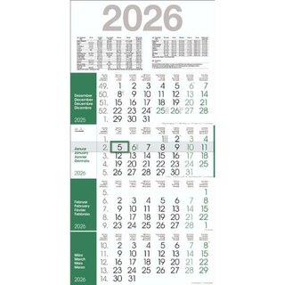 Bühner 4-Monatskalender RAINBOW M4R1, 4 M/1S, 30 x 59 cm,...