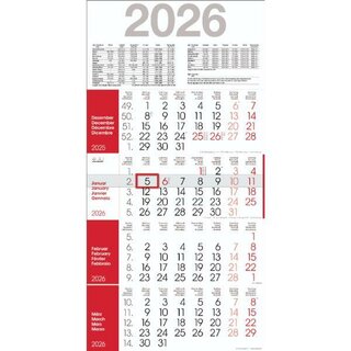 Bühner 4-Monatskalender RAINBOW M4R1, 4 M/1S, 30 x 59 cm,...