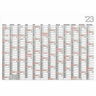 Bhner Plakatkalender DELTA K12, 12 M/1S, 98 x 68,5 cm, 2025