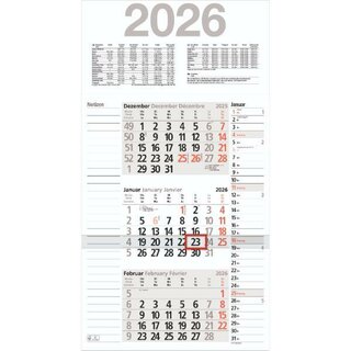 Bühner 3-Monatskalender KOMBIPLAN M3KPN, 3M/1S, 30 x...