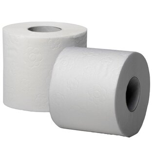 Toilettenpapier Fripa Basic, 2-lagig, 250 Blatt, Recycling, 48 Stck