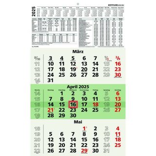 Zettler 3-Monatskalender 956 Recycling, 30 x 49cm, grn, 2025