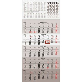 Rido-Ide 5-Monatskalender 7033520006 cinque, 30 x 62,5cm,...
