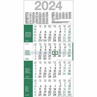 Bhner 4-Monatskalender RAINBOW M4R1, 4 M/1S, 30 x 59 cm, grn, 2025