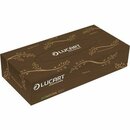 Kosmetiktcher Lucart 841073, 2-lagig, 20 x 21cm (B x H),...